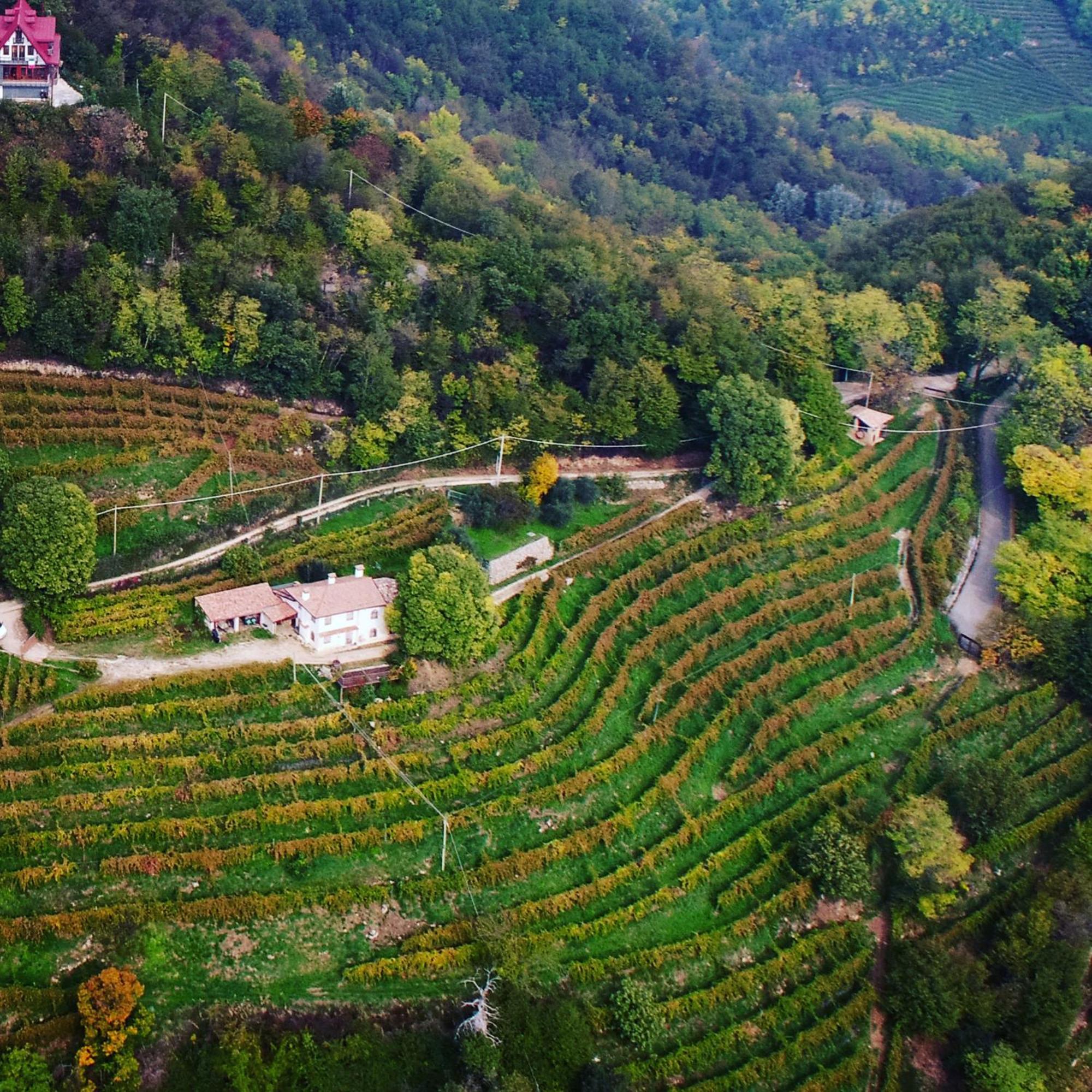 فيلا Rustico Costa D'Oro Farra di Soligo المظهر الخارجي الصورة